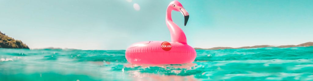 vacanze legnano cowo